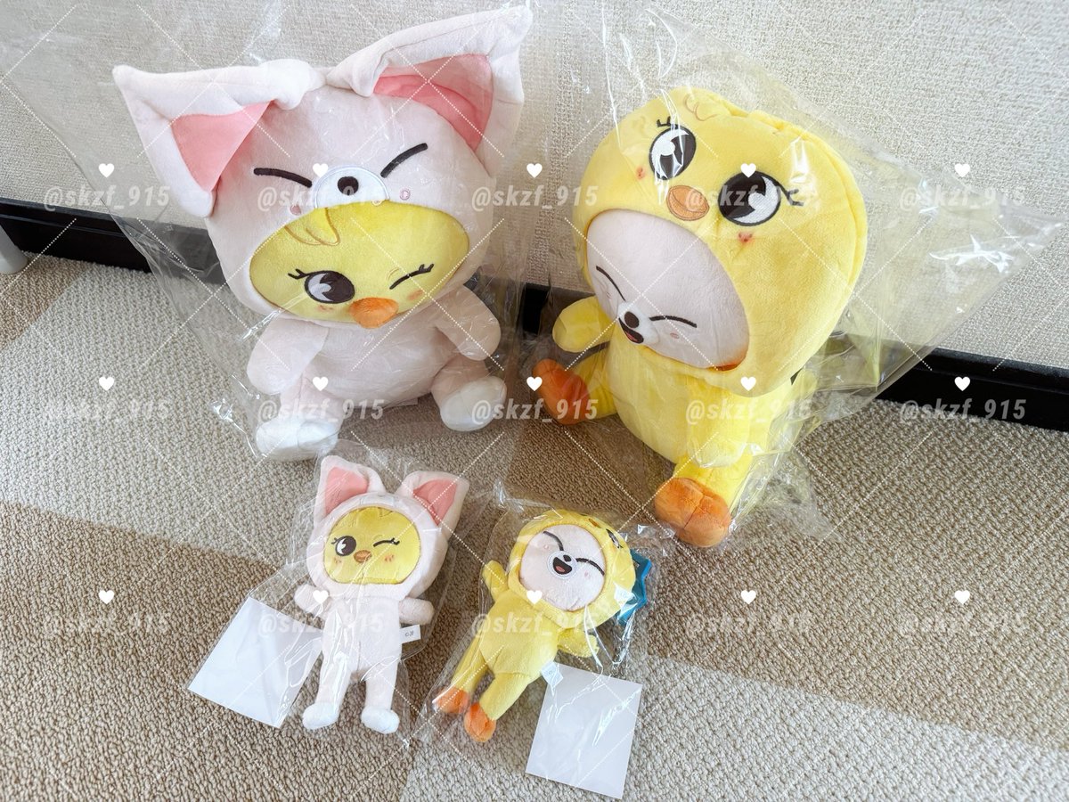 Stray Kids スキズ 交換 買取 抱き ぬい ぬいぐるみ バックチャーム 譲