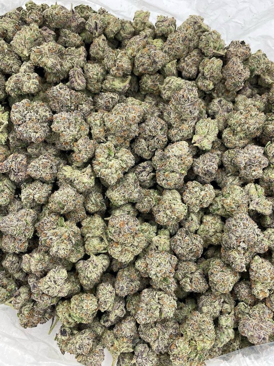 Lemon Cherry Runtz indoors 🍋🍒
——————————————————
Sticky lemon cherry candy runtz nugs with a bunch of color and nice structure. Bomb LCG/Runtz nose! 💣

📦$1400 P
Potato group link for full menu
ptwdym158.org/joinchat/UlIY8… 

Telegram link in bio