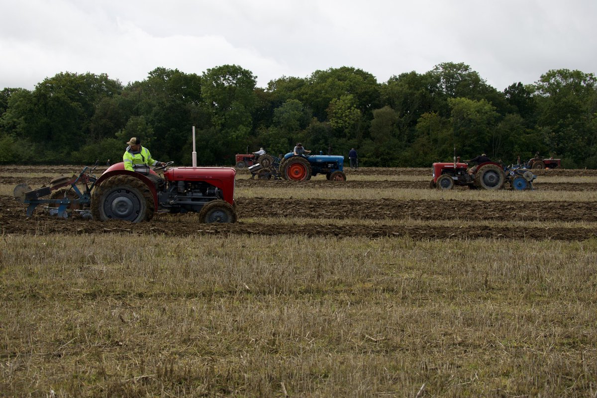 What a smashing morning. 
A lovely wander around a muddy field to watch some ploughing. Sausage bap, pint of beer.