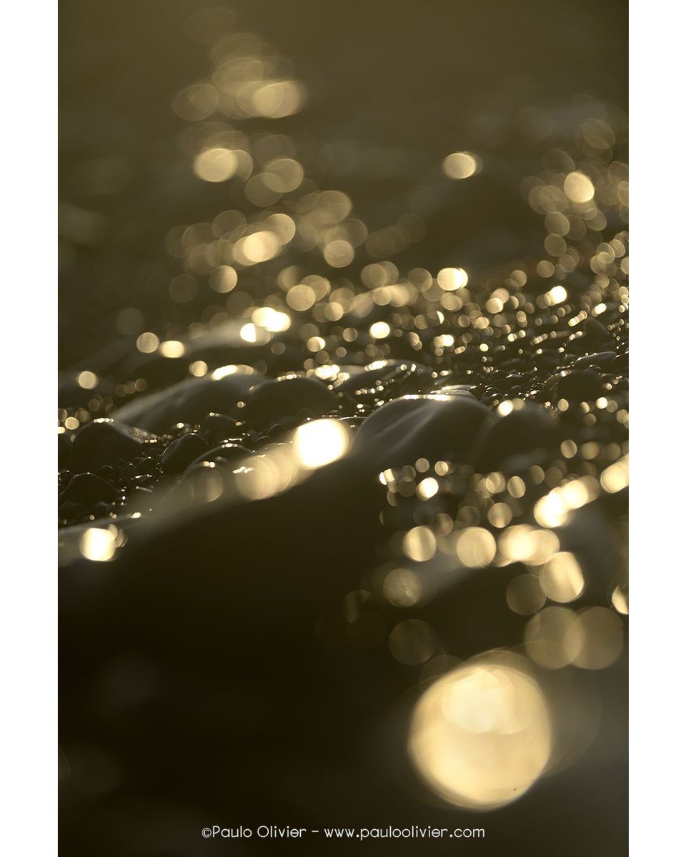 Brillos, la belleza de lo simple, de lo cotidiano (aunque lo que es cotidiano para unos, para otros es extraordinario).