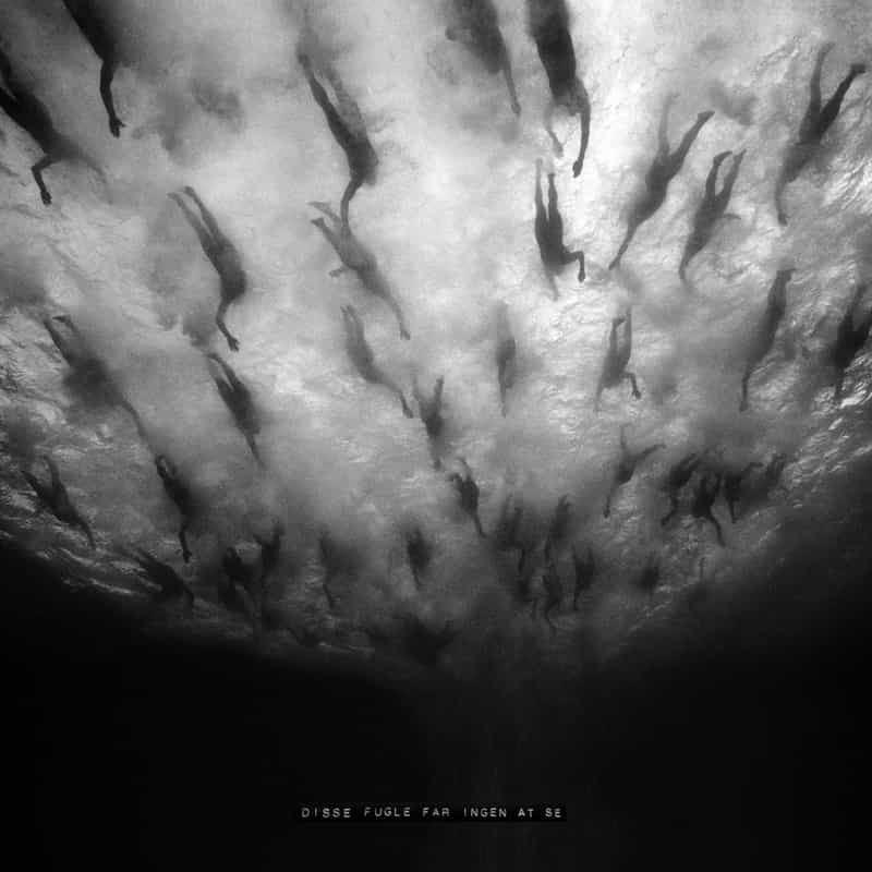 BlessedAltarZin's tweet photo. #AlbumReview #Morild Disse fugle får ingen at se via #VendettaRecords by #Michelle
The album starts with a calm voice echoing through the bass lines, fast tremolo and drum beats before a raw...
https://t.co/luEbVw5Cec
#WeAreBlessedAltarZine
#TheZineSupportingTheUnderground https://t.co/CSTYDpJF5f