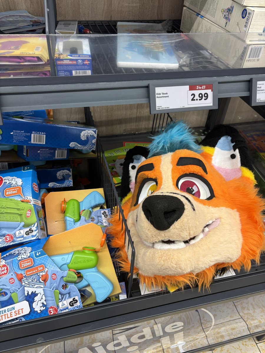 The middle of Lidl has got some cool stuff in these days 😮