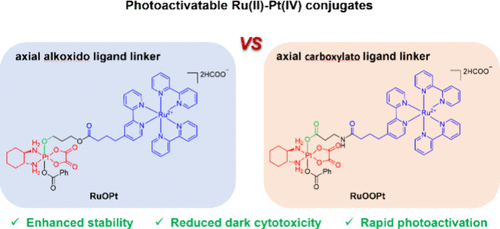 bhkenlo's tweet photo. A Highly Stable Photoactivatable Pt(IV) Prodrug with Lower Dark Cytotoxicity for Photochemotherapy | Inorganic Chemistry https://t.co/su9IfySRVm Wang and co-workers @InorgChem #platinum #IV #ruthenium #photoactivation #photochemotherapy https://t.co/ZpN6yEPuGt