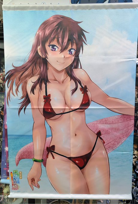 メロンの特典、サーシャのタペストリーが届きました。飾る場所ないんだけどねー。