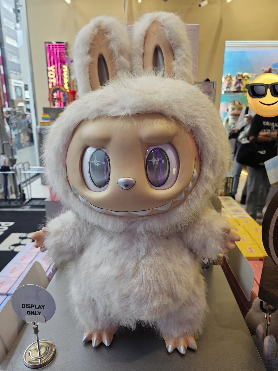 ももち🐈️ tweet media