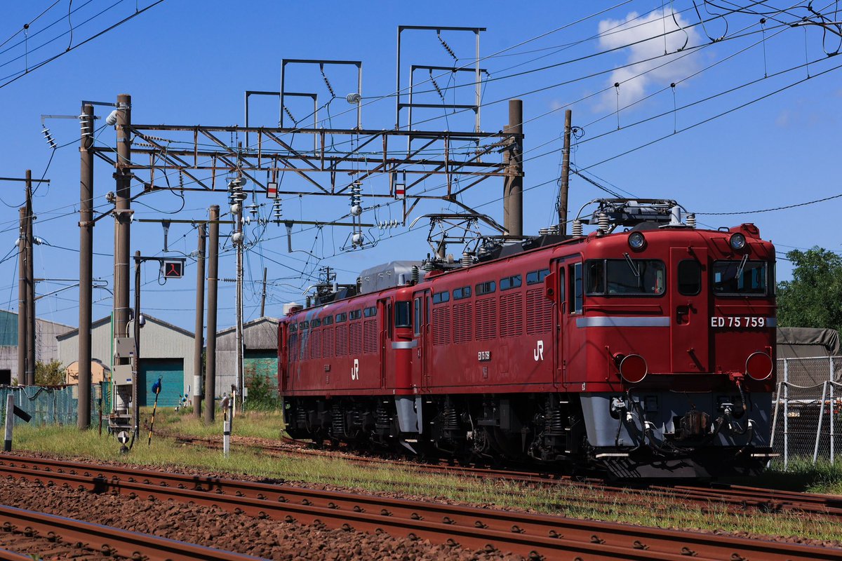 綾鷹鉄 (@SakurajimaMai75) / X