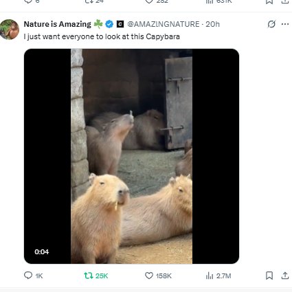 WireBrushWizard's tweet photo. SKY NEWS📰
MSNBC
A CAt in a HAT with a FOX in a BOX🦊📦
4 a FISTful👊of Dollars💵More
Get a Capybara🐭🪤
a HAWK Tuah Time MAchine🦅♨️🛁⏳🧭🕺🚪
IN through the OUTDOOR♾😶🌫️
https://t.co/3VgDcwt3pp https://t.co/muARU4IEoF