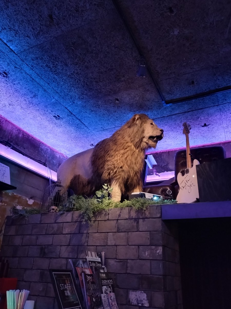 mapru0630's tweet photo. 4カ月ぶりの智樹くん🎵
ソロツアー金沢公演で初めて歌声聴けたし最前で最高の笑顔と演奏中の指先までバッチリ見えた👀✨️
変わらずのサービス精神とさらなる向上心にも驚かされたな〜
地味にだけど応援し続けたい!
#福田智樹SparkleTour2025
#福田智樹
#SparkleTour
#gateblack https://t.co/ODaeQEyYbc