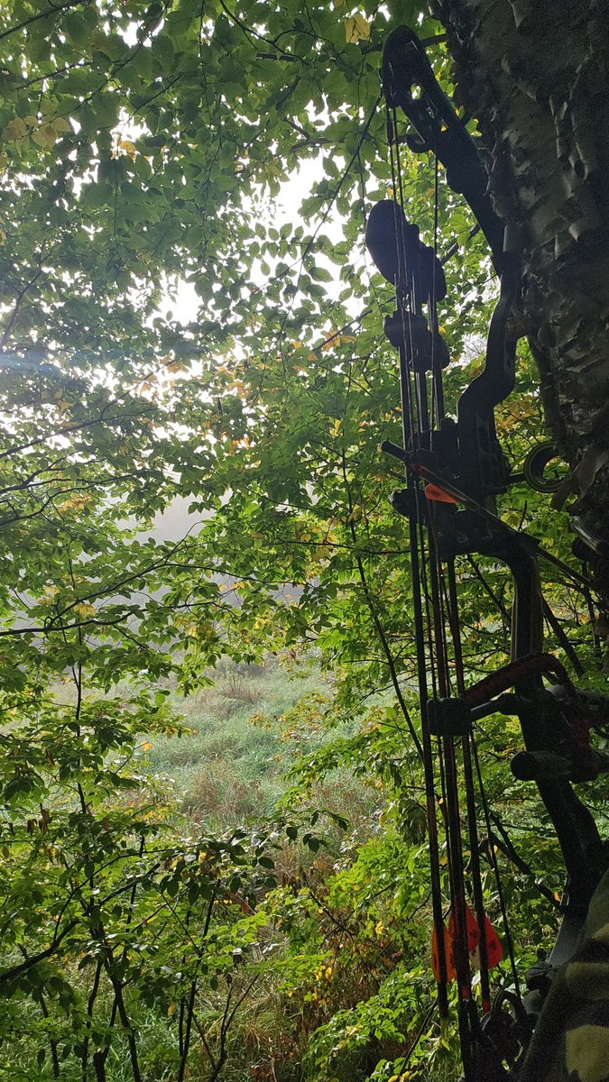 Happy opening morning to those who celebrate. 
#WIbowopener2025