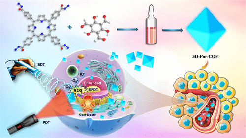 bhkenlo's tweet image. Development of 3D Porphyrinic Covalent Organic Frameworks for Enhanced Sono-Photodynamic Therapy against Prostate Cancer | Inorganic Chemistry pubs.acs.org/doi/10.1021/ac… Sankar and co-workers @InorgChem #COF #SPDT #ROS #3D