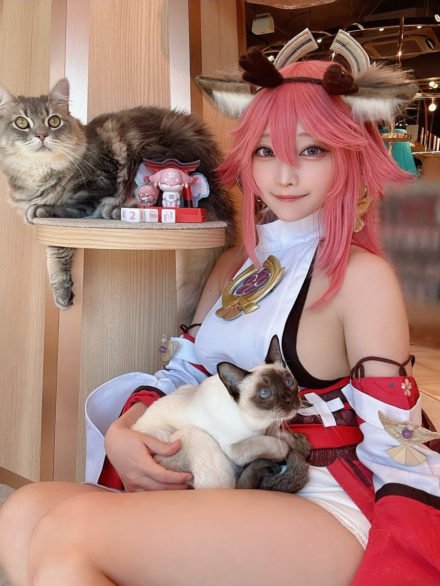 うみちゃんと一緒に特別な場所で撮影してきました🐈☕️

私は八重神子のコスプレでした🦊⛩️
鳴神大社にもたくさんいるけど、それ以上の猫ちゃんに囲まれちゃったかも…！？

猫ちゃんにデレデレするPPEメンバーをぜひ動画でも見てみてね👀

#原神 #ナドクライ #月が誘うナドクライへ #ラウマ #原神5周年 #PR
