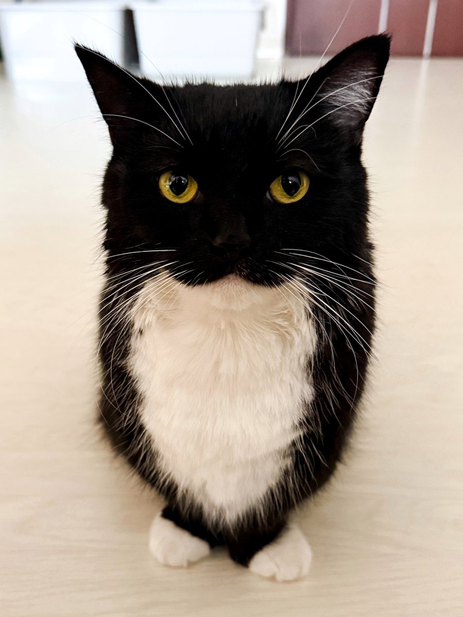 Baths are nothing to me! :3