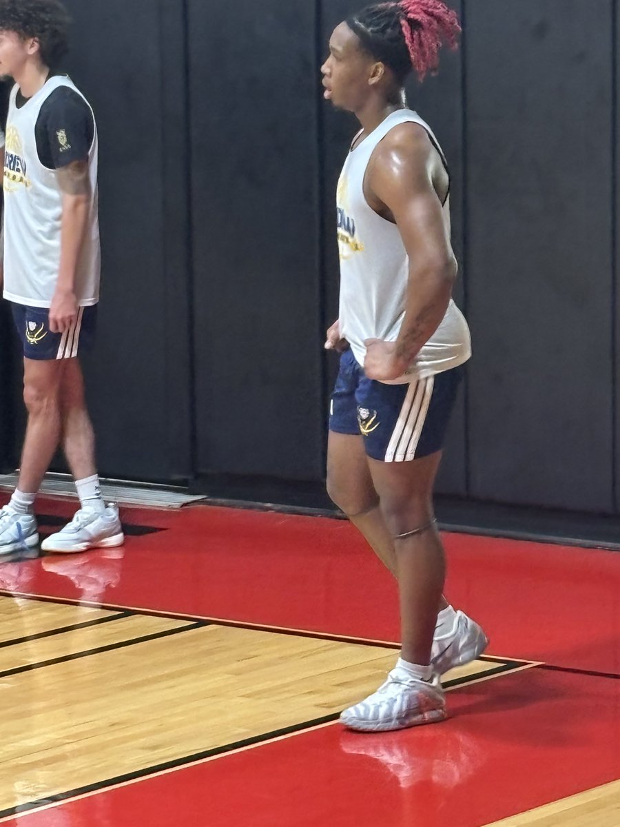 SWISH SCOUTING tweet media