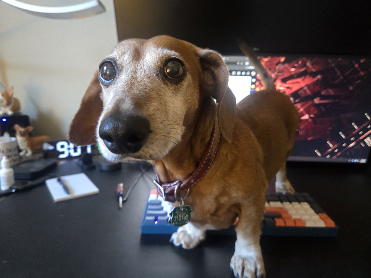 Reggie, how can I get anything done? 😀