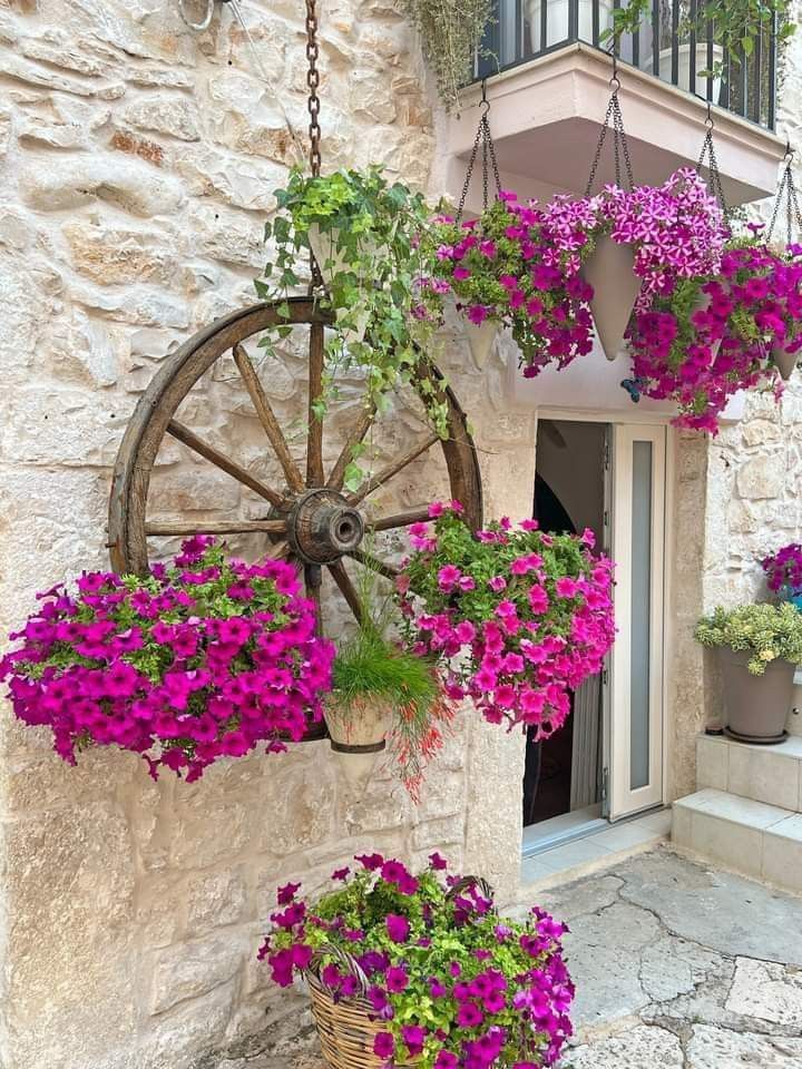 LuOl20958448's tweet image. // Good day 🌸🕊️