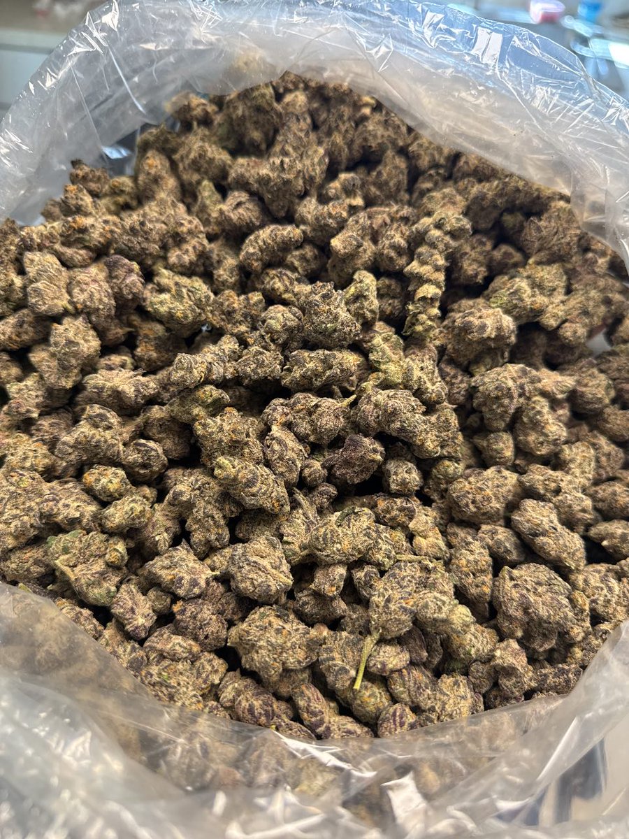 Yls_Pag's tweet image. Hollywood Runtz