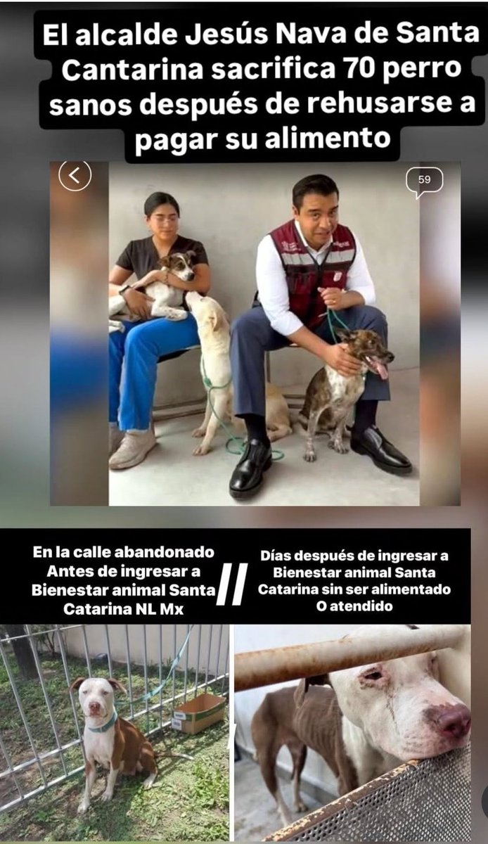 Fundación Toby (@fundaciontoby) on Twitter photo Yo creo que ya fue suficiente de esta bola de asesinos.
Exigimos cárcel para <a href="/JesusNavaNL/">Jesús Nava</a>.
<a href="/samuel_garcias/">Samuel García</a> <a href="/nuevoleon/">El Gobierno de Nuevo León</a> exigimos justicia contra estr asesino, uds acaban de abrir un proyecto enorme para ayudar PERROS pero permiten esto? En donde esta su congruencia?
Los Yo creo que ya fue suficiente de esta bola de asesinos.
Exigimos cárcel para <a href="/JesusNavaNL/">Jesús Nava</a>.
<a href="/samuel_garcias/">Samuel García</a> <a href="/nuevoleon/">El Gobierno de Nuevo León</a> exigimos justicia contra estr asesino, uds acaban de abrir un proyecto enorme para ayudar PERROS pero permiten esto? En donde esta su congruencia?
Los