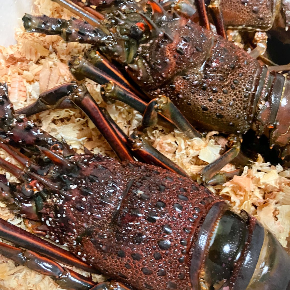 職場からの誕プレがいかつ過ぎる