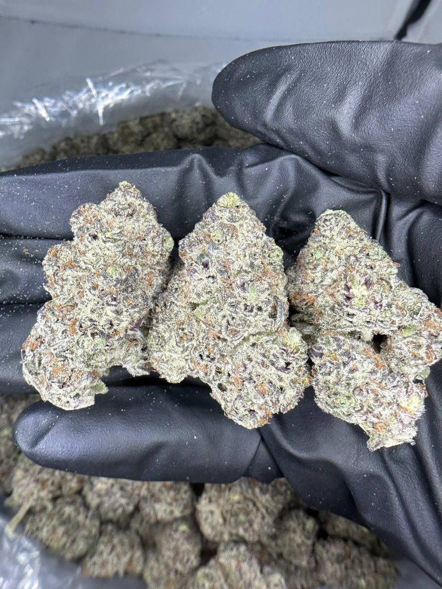 Yls_Pag's tweet image. Tap in today, I’m throwin’ an extra gram on top. Don’t hit me talkin’ prices, just lock your bag before it clears out.