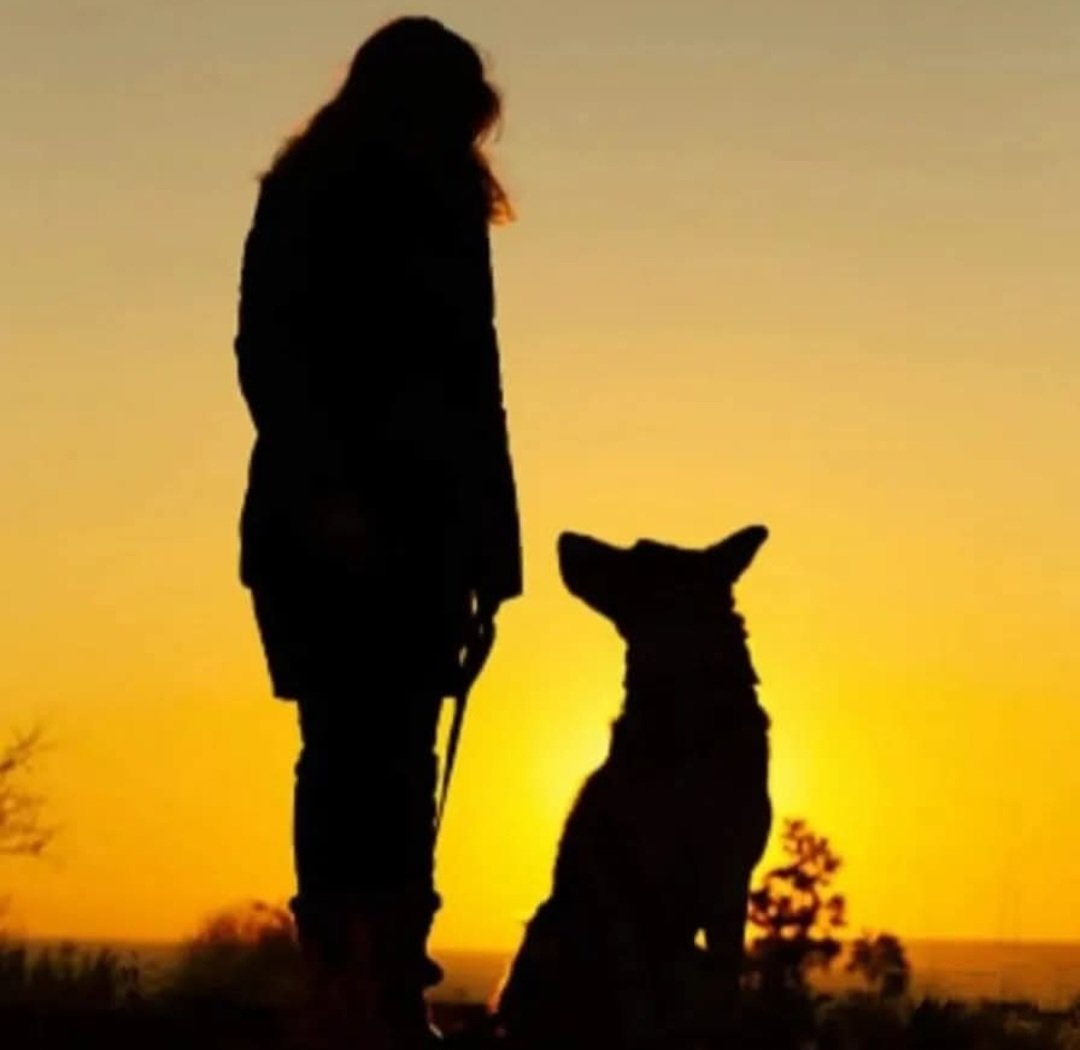 "Hay partes de mí que solo existen cuando estoy contigo" 
Ron Israel