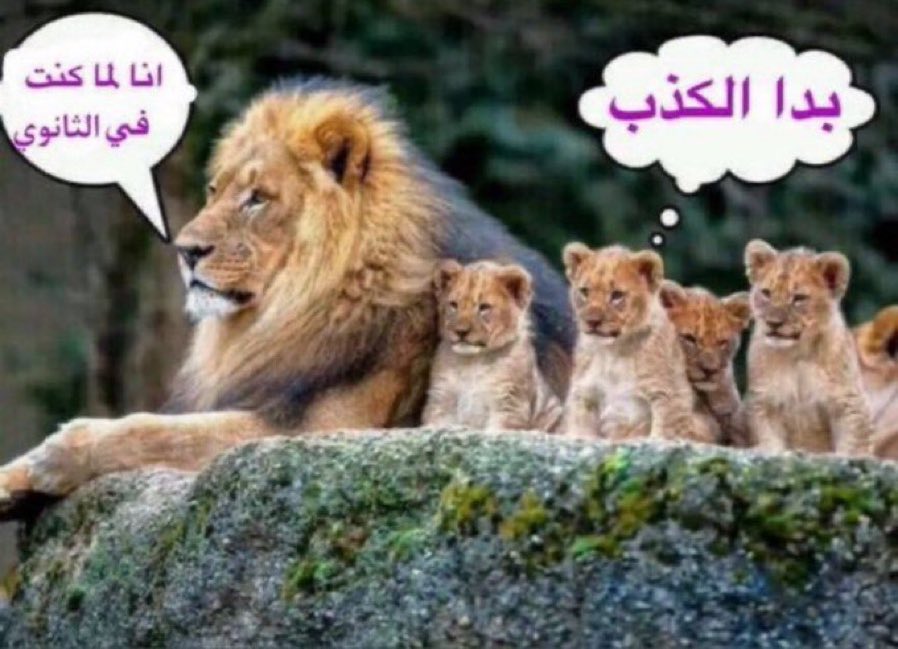 #حرق_مودولو .. 

يوتا وماكي مع أحفادهم