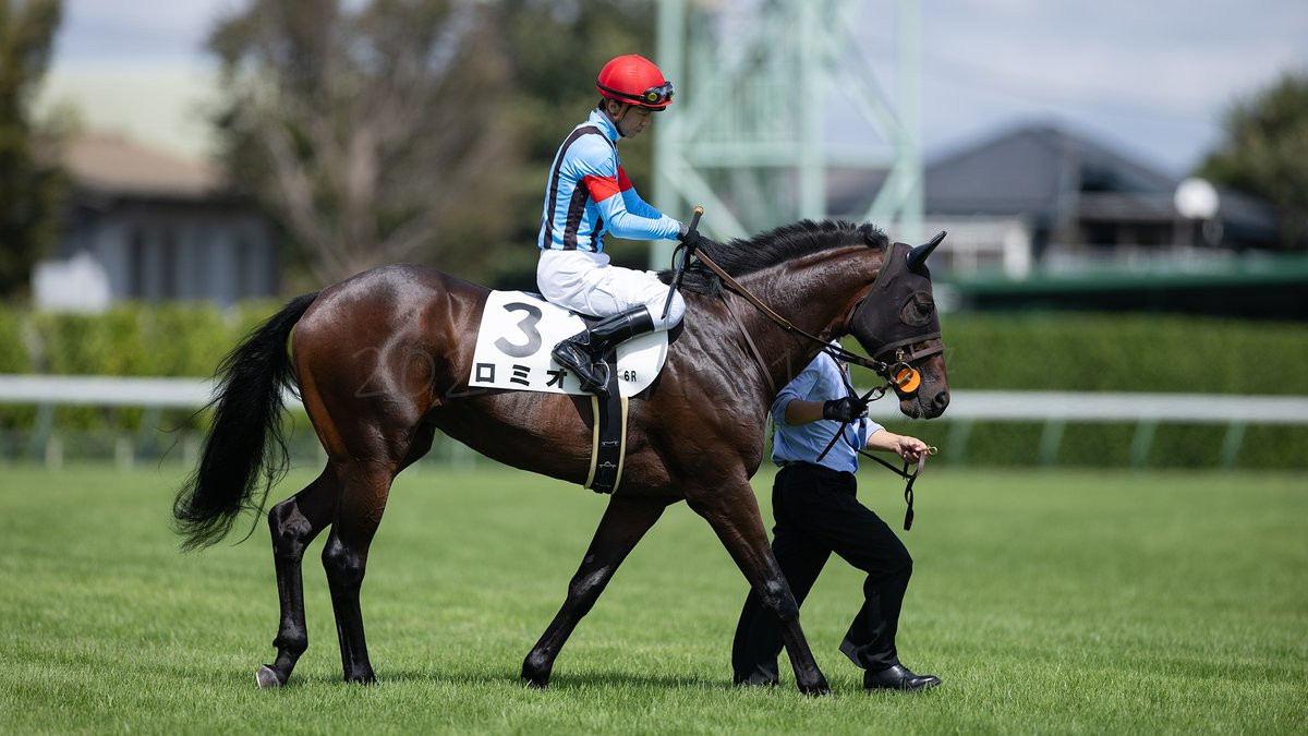 Akihiko Takeda. (@Aki_piko) / Posts / X