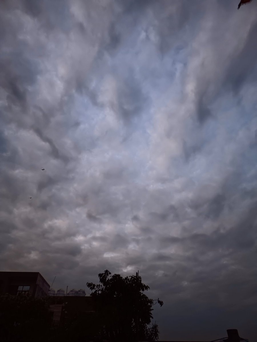 sh1v_ansh's tweet image. Just looking up and appreciating the beauty of nature. Those clouds are something else! 🤍
