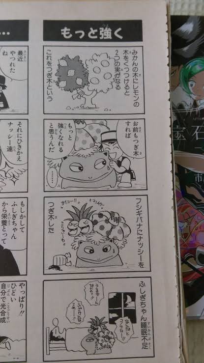 ネットの海にナッシー接木ネタあった