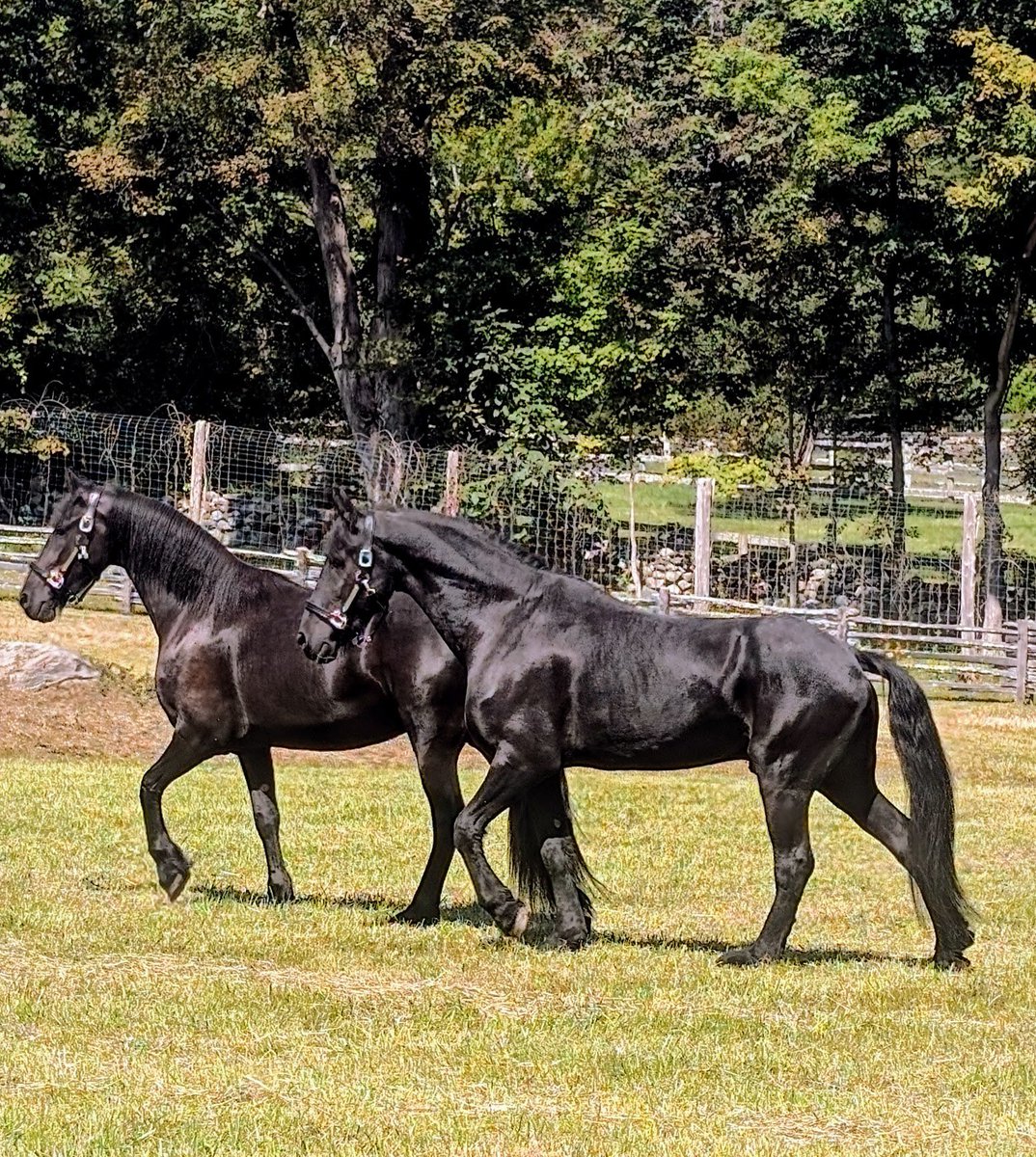 Martha Stewart tweet media