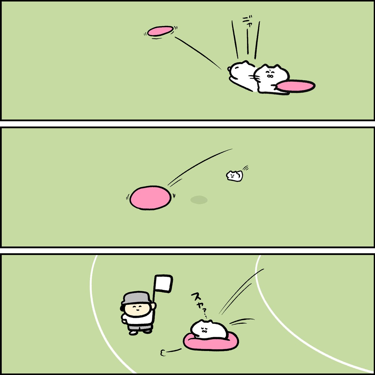 猫陸上 