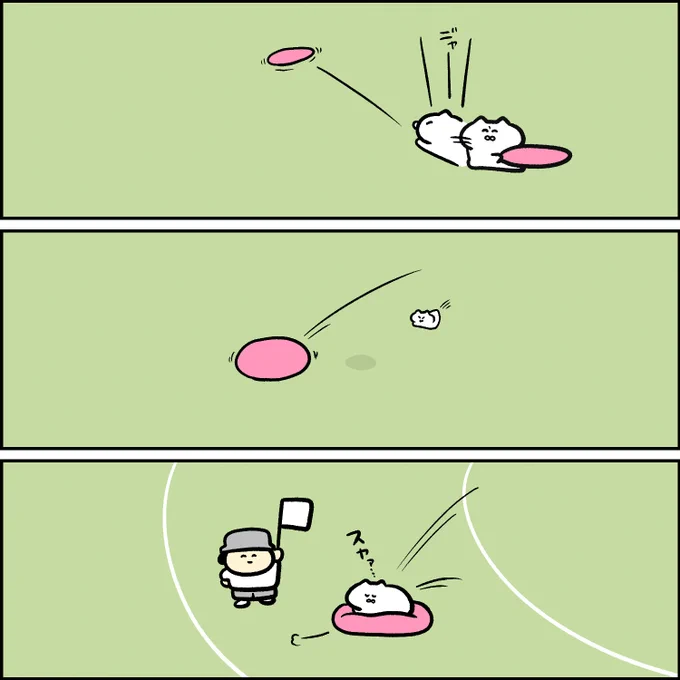 猫陸上 