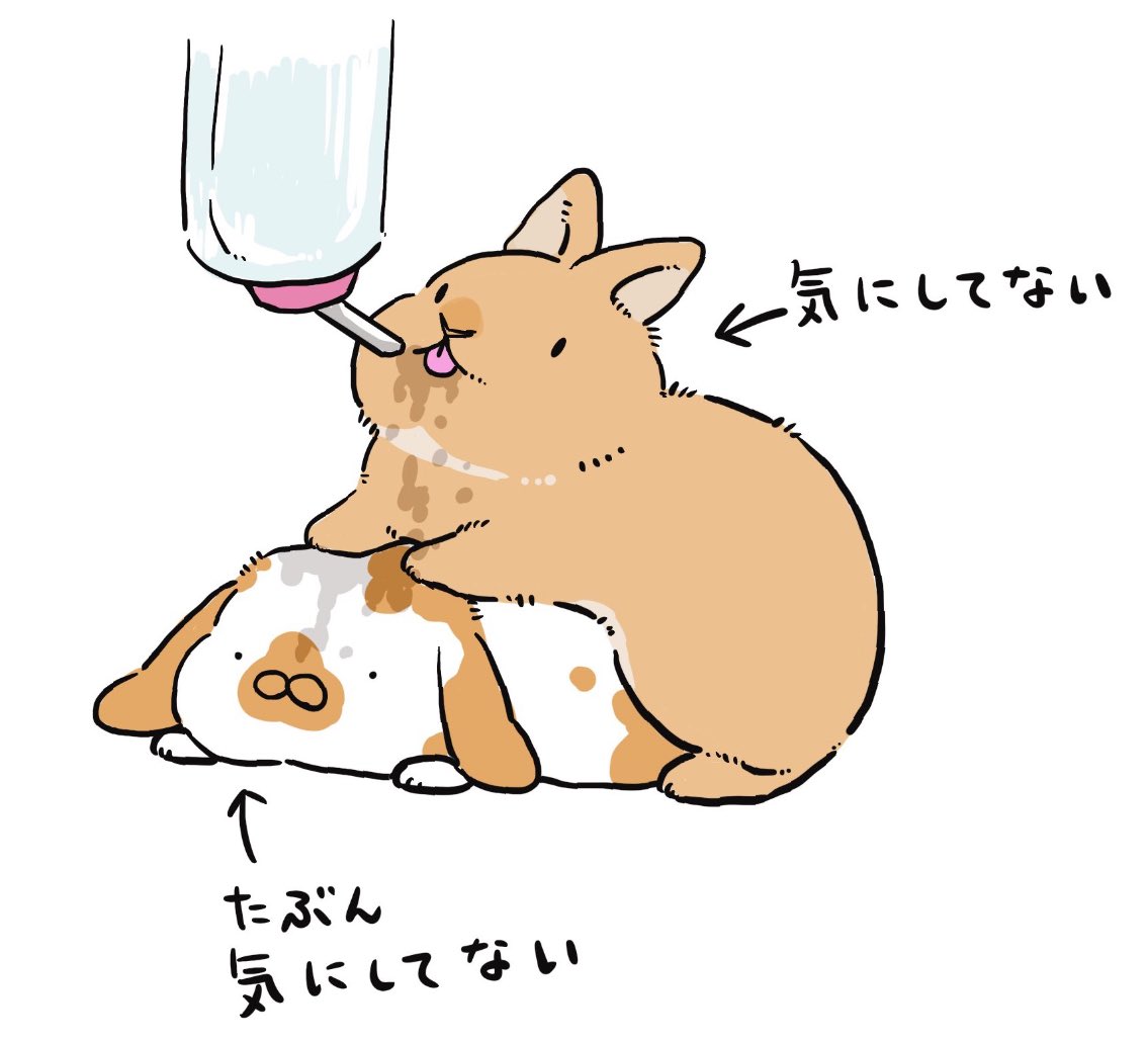 (再)水飲むのやたら下手なネザーと頭べしょべしょにされてたロップ
どちらも特に気にしてなさそうだった