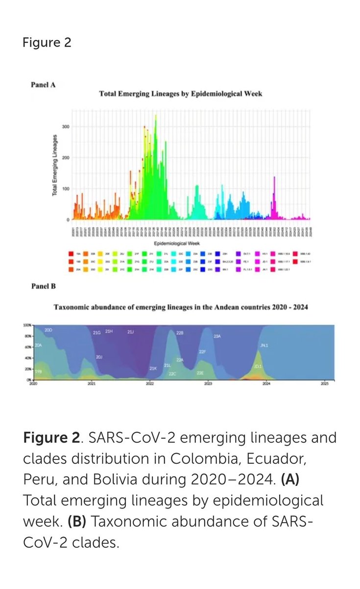 Alfredo_Bruno_C's tweet photo. ¿Cómo se mueven las variantes del #SARSCoV2 en Región Andina? El estudio integró datos de Colombia, Ecuador, Perú y Bolivia (2020-2024) con 16867 secuencias geneticas. Importante unir esfuerzos y estrategias para una #VigilanciaGenomica sostenible. Link: https://t.co/93szwPLx9e https://t.co/21Q52SS9M9