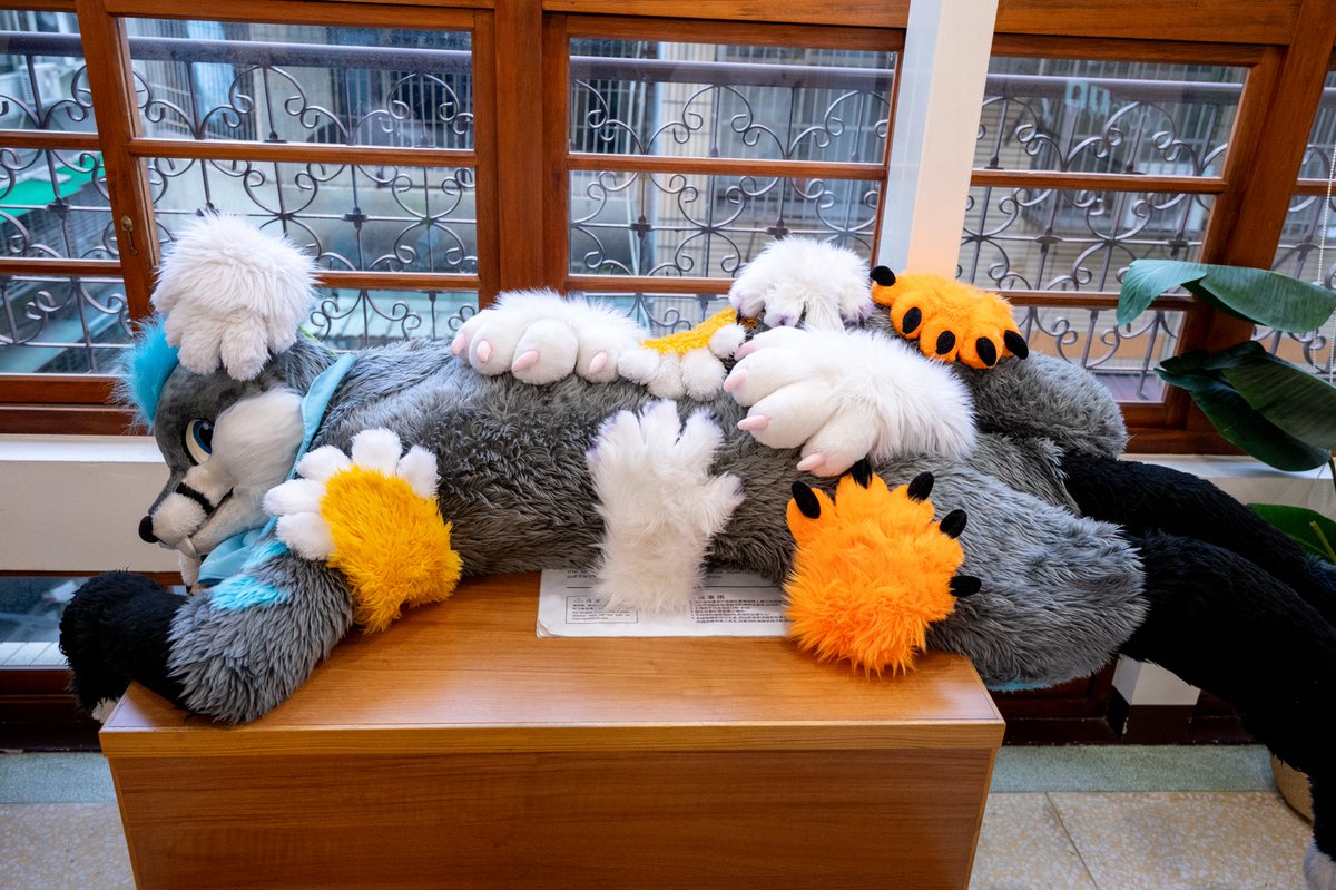 *Pet Pet Pet*

📷: <a href="/Turquobitbit/">Turquo cabbit🐰</a>

✂️: <a href="/DRAGONGO02/">Dragon X2 (台灣)⏩ FURUM</a>

#FursuitFriday #MountainPineTW