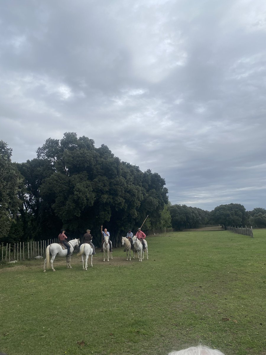 Les JLR 34 étaient présents aux côtés de <a href="/S_Rossignol/">Stephan Rossignol</a>, <a href="/arnaudjulien34/">Arnaud Julien</a> et de <a href="/GuyLauret/">lauret Guy</a> pour la rentrée de la fédération.
Merci à Sébastien Martin pour sa venue dans nos terres héraultaises lors de cette journée mêlant tradition, convivialité et préparation de la suite.