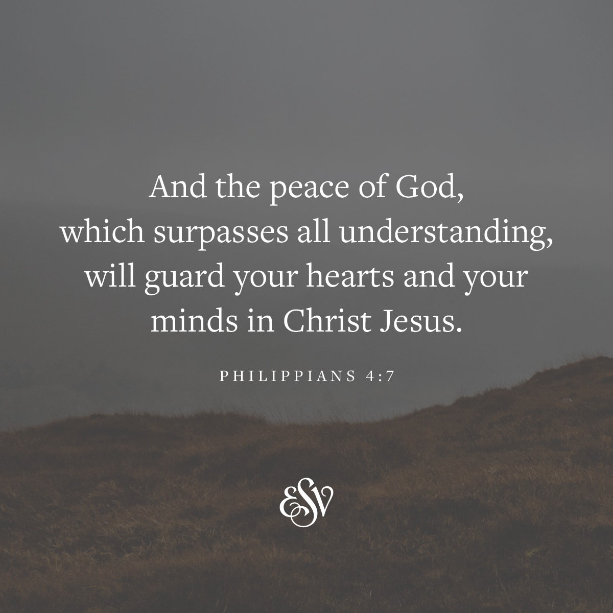 crossway's tweet photo. And the peace of God, which surpasses all understanding, will guard your hearts and  your minds in Christ Jesus. 
—Philippians 4:7 (ESV) 

#Verseoftheday #ESV #Bible #BibleVerse https://t.co/7mNthgoGuY