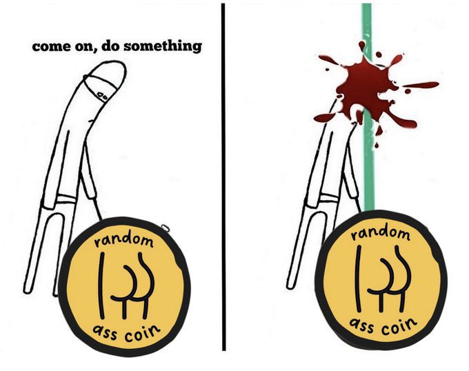 Random Ass Coin tweet media