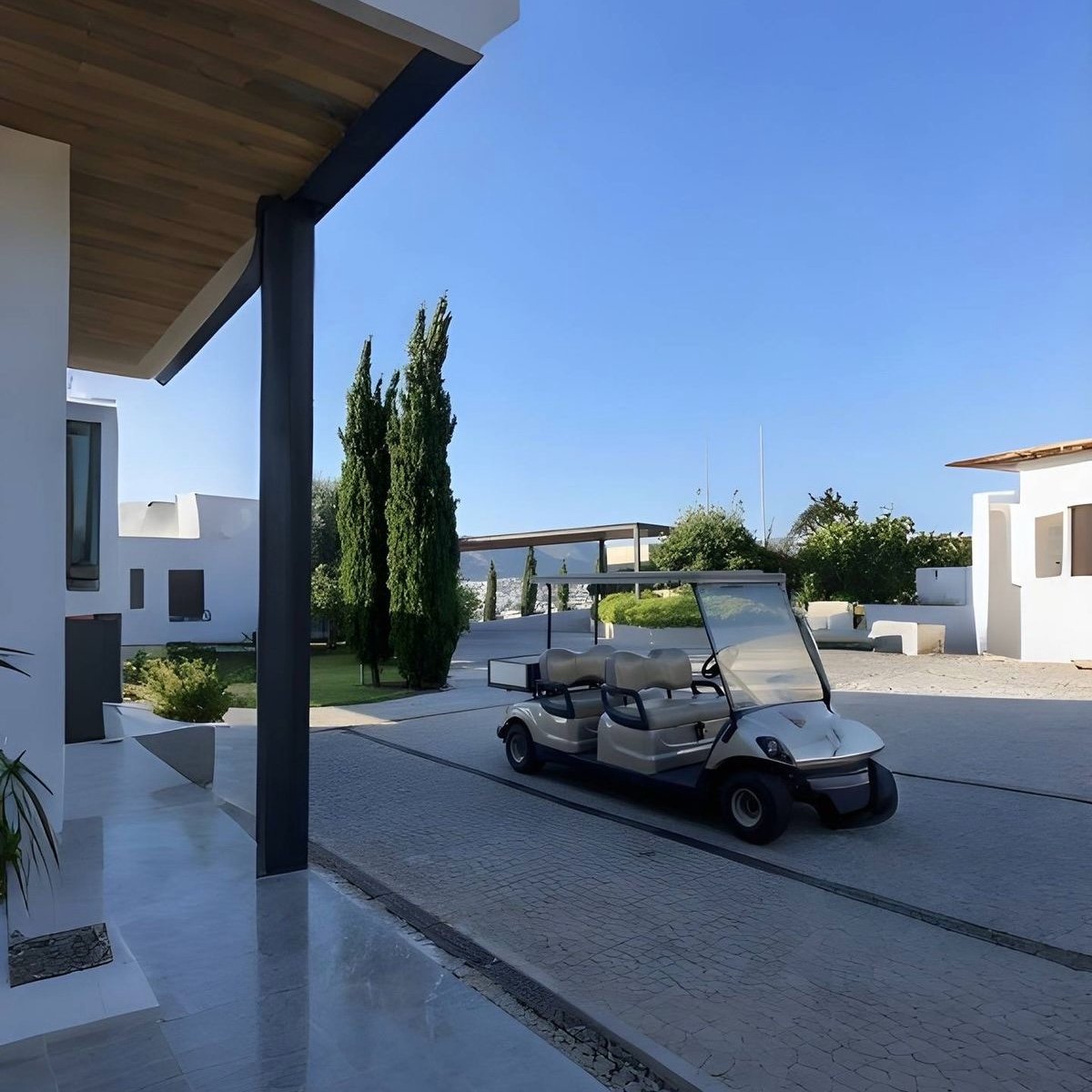 Bruca 🎪 tweet media