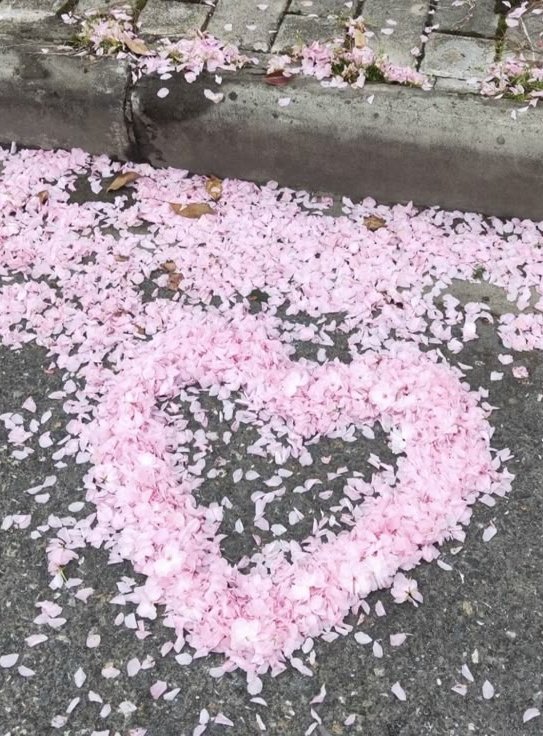 happiest birthday <a href="/dharal_surelia/">D | ⏳</a>  <a href="/Bubbles_dz/">Bubbles 🪩🫧</a> 🫧🌸 

One of the sweetest soul I've ever met, one who will always be special...not only because you're my fav's girl, but because you're YOU, you always have been 🫠✨️

Grateful for all the moments we will always cherish 🥹🧁🩷💙