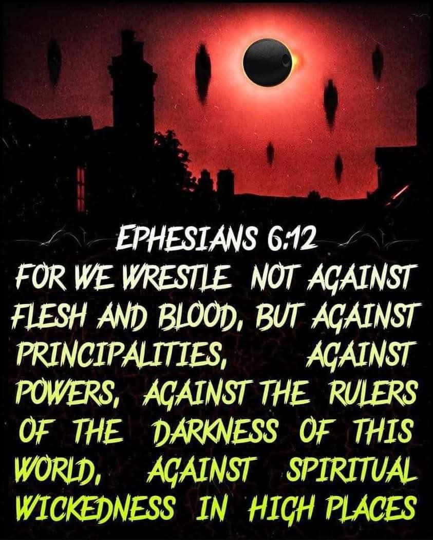 Roy Stofberg (@stofberg_roy) on Twitter photo 