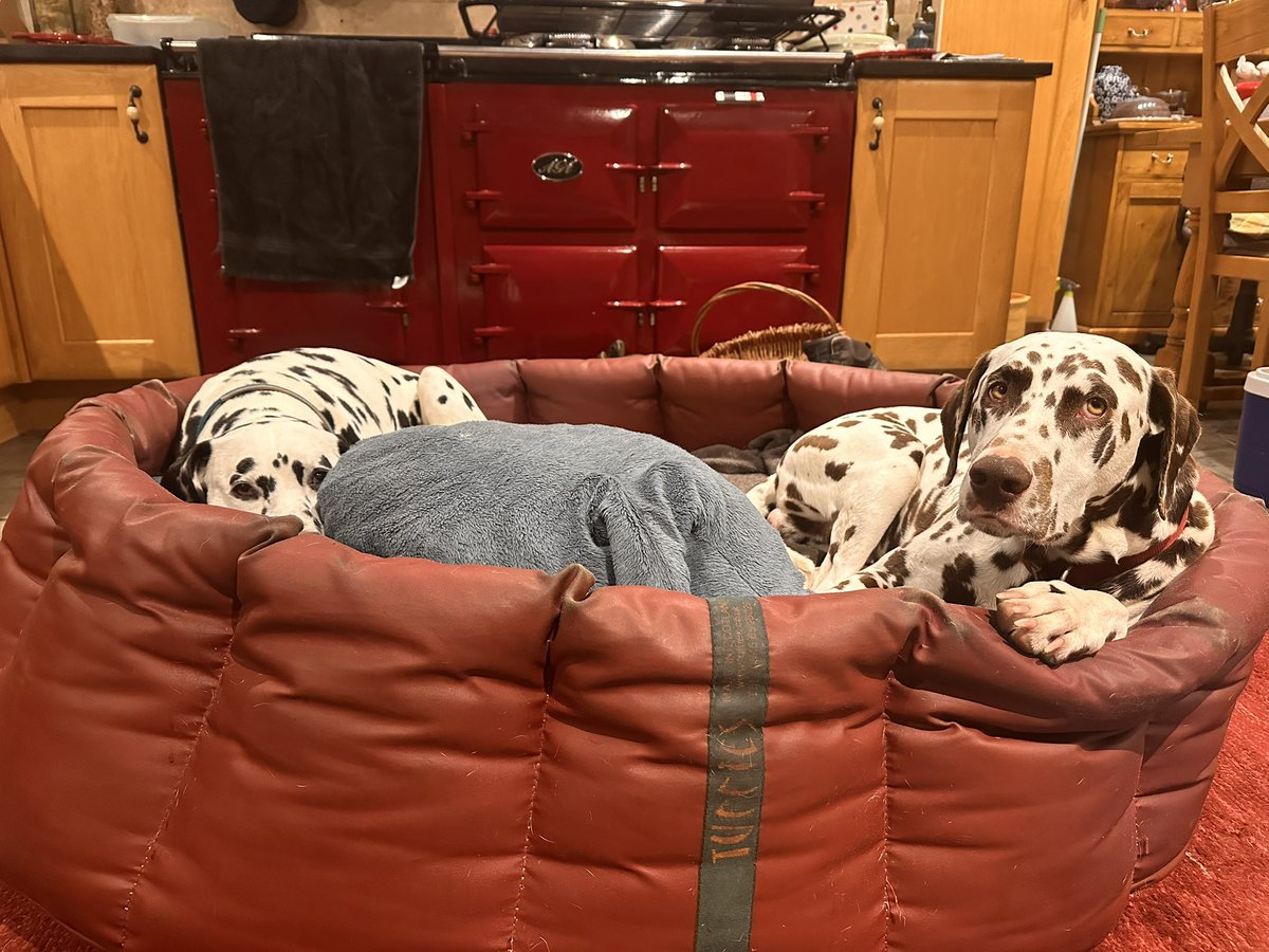 And they’re back in their own bed. Neither is talking to me, both in an almighty huff. Toddles from now on are going to be heavily compromised until we return for another sojourn on the Isle in a couple of months time :)