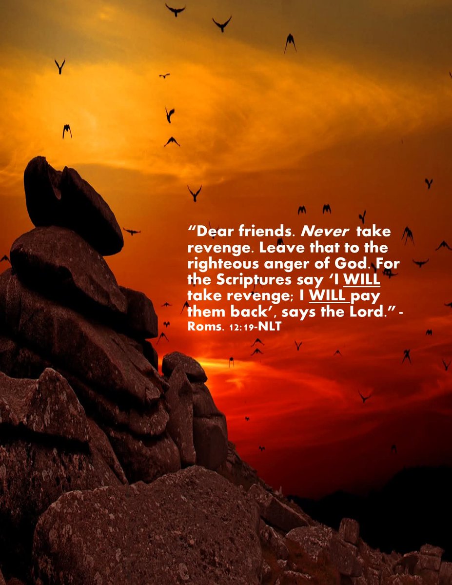 Roy Stofberg (@stofberg_roy) on Twitter photo 