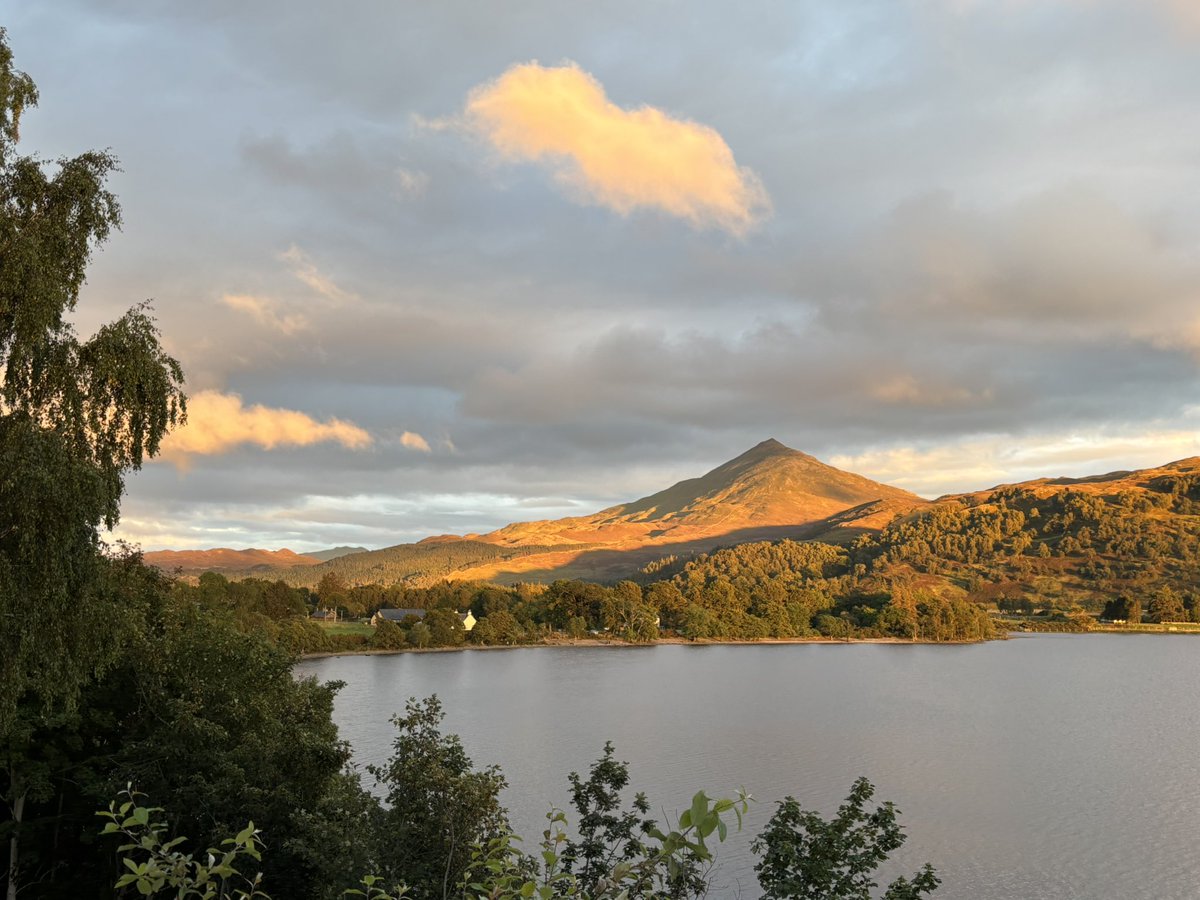 Gail Preston tweet media