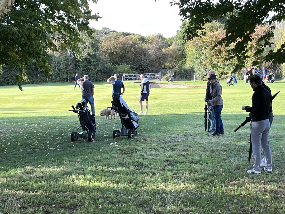 Harpenden Common GC tweet media