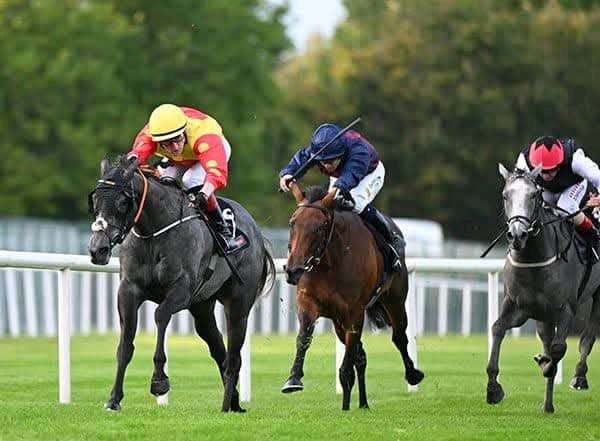 The Hong Kong Jockey Club World Pool Autumn Fillies Handicap looked a wide-open event beforehand and so it proved with Pink Oxalis coming out on top at odds of 22/1 in the €100,000 finale at Leopardstown.

The Stephen Thorne-trained filly was towards the rear of the 20 runners