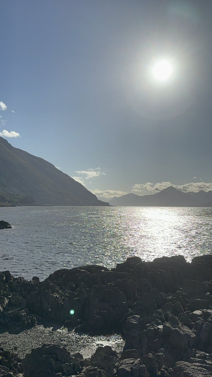 BortzGroup's tweet image. What’s in here? 🧬@UAABioSciences 🏔️🌊🦭 #weatherwindow #mNGS #pathogenomics