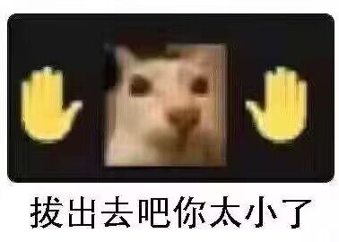 麦当劳双层吉士堡 tweet media