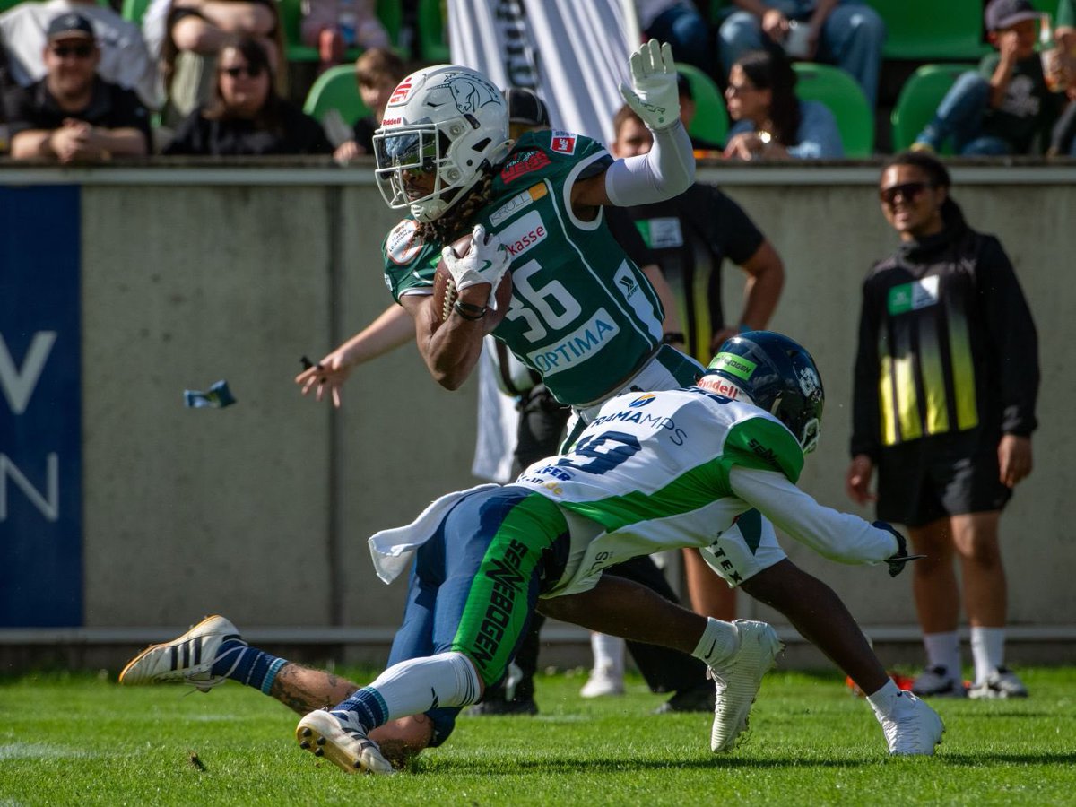 Mike Webb tweet media