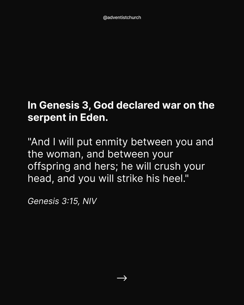 Adventist Church tweet media