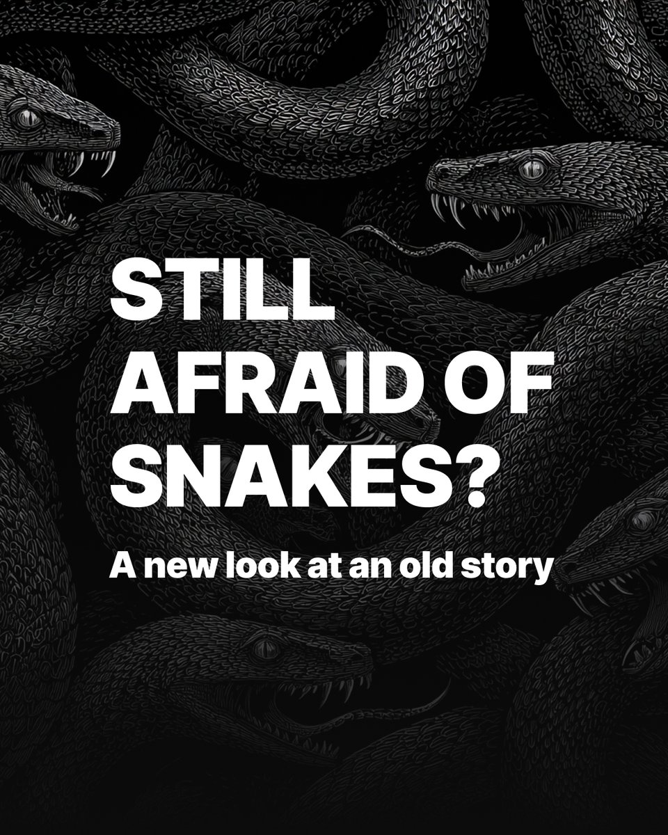 Adventist Church tweet media